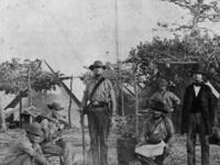 articles/2016/01/01/when-florida-men-overcame-our-racists/151231-clavin-pensacola-tease_tgygud