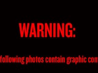 galleries/2009/05/29/abu-ghraib-torture-photos/torture-graphic-content_wdcvhm