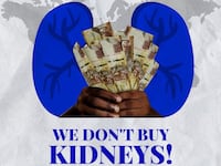 Kidney_xv63zi
