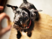 iStock-1280869124_ccc7hm