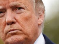 trumpppppp_lhoygn