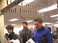 180222-immigration-cheat_og2goq