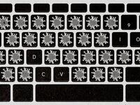 200814-messer-reporting-corona-hero_pldwhc