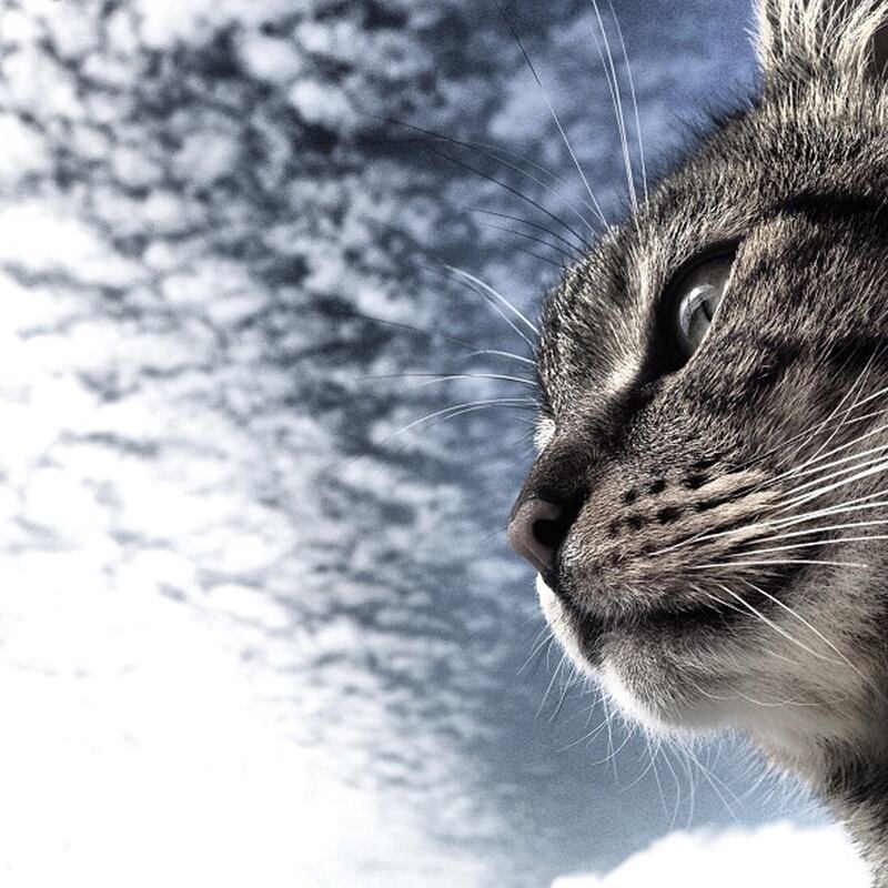 galleries/2015/10/31/instagrammer-of-the-week-theworldsyoungestman/150731-instagram-week-10_kclmwu