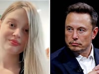 Elon Musk and Vivian Jenna Wilson