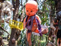 Photograph of dolls hanging on Isla de las Munecas.