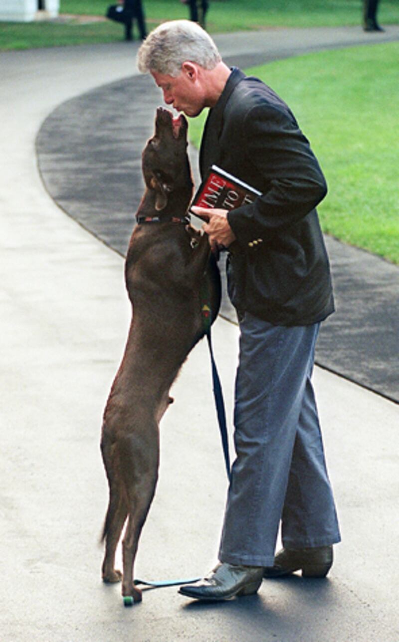 galleries/2012/05/25/bill-clinton-poses-with-porn-stars-more-awkward-photos/bill-clinton-awkward-photos-kissing-buddy_uk7kz3
