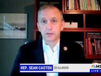 Illinois Congressman Sean Casten speaks with MSNBC on Saturday 23 November, 2024.