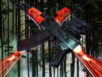 articles/2016/09/24/how-mexico-s-forest-people-took-on-a-cartel-and-a-u-s-multinational/160923-Waller-Cartel-Land-tease_ylbesv