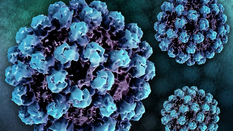 Creative layout featuring 3D renderings of norovirus virus-like particles (VLPs), generated from electron microscopy, and a transmission electron micrograph of norovirus particles in the background. (Photo by: NIH-NIAID/Image Point FR/BSIP/Universal Images Group via Getty Images)
