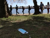 2021-03-29T232423Z_1839833921_RC2BLM9M8TNB_RTRMADP_3_SPRING-CHERRYBLOSSOMS-WASHINGTONDC_gztnm1