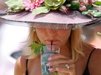 articles/2014/05/03/the-storied-origins-of-the-classic-mint-julep/140502-mint-condition-tease_djpjmg