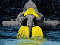 Elephant wearing a yellow rain slicker and hat in front of the US capitol building in flooded water