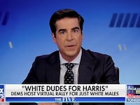 The existence of a recent Zoom fundraiser for Vice President Kamala Harris dubbed “White Dudes for Harris” seemed to confound Fox News host Jesse Watters Tuesday.