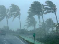 Palm trees bend in the wind as Hurricane Irma slammed across islands in the northern Caribbean on Wednesday, in San Juan, Puerto Rico September 6, 2017.