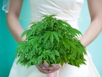 articles/2015/08/30/are-weed-bars-at-weddings-kosher/150829-haglage-weed-brides-tease_ursc8x
