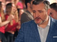Ted Cruz in Lady Ballers