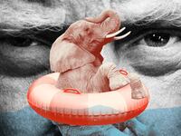 Donald Trump, Elephant