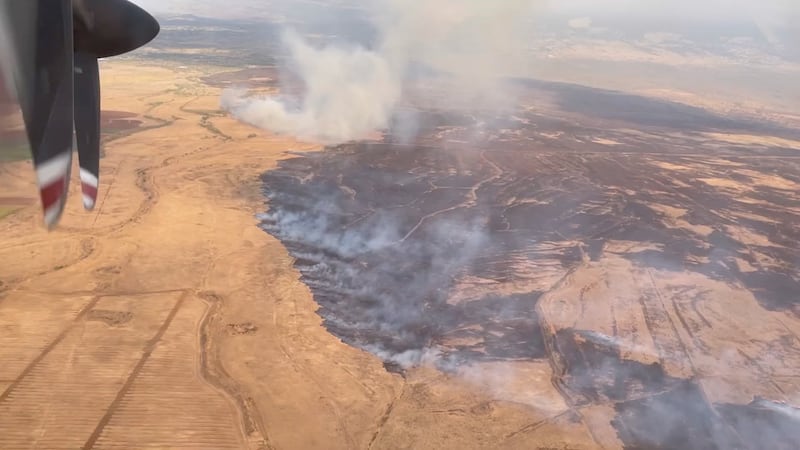 An aerial view shows wildfire smoke in Lahaina.