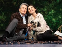 Peter Gallagher and Julianna Margulies in Left on Tenth.