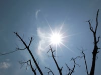 articles/2012/07/03/bill-mckibben-on-the-global-warming-hoax/global-warming-mckinnon_fqug7k