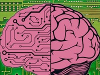 articles/2014/05/01/the-computer-that-replicates-a-human-brain/140430-eisenberg-circuitbrain-tease_j4tmwg
