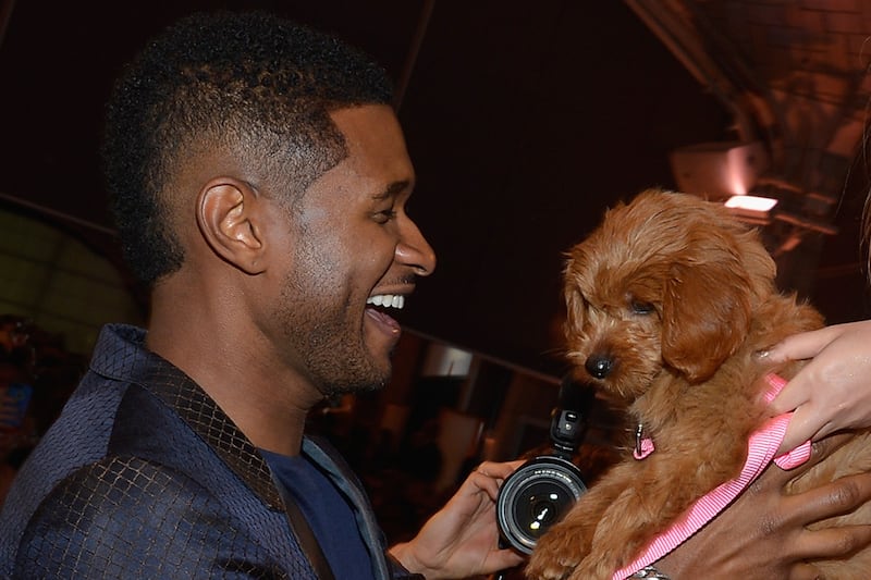 galleries/2012/11/03/blake-lively-usher-more-celebrities-crazy-about-their-dogs-photos/usher-celeb-dogs_qnntc0