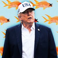 A photo illustration of Donald Trump and goldfish.