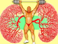 body builder in red underwear and white sneakers in front of kidney image nephrons rhabdo elite ultramarathon