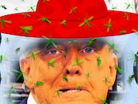 A photo illo illustration Donald Trump, UFC fight, and mosquito swarm.