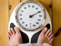 articles/2013/12/29/the-top-10-diets-of-2013-are-all-useless-except-to-book-publishers/131226-sepkowitz-diets_wlqnc8