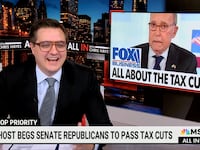 Chris Hayes makes fun of Larry Kudlow on MSNBC's All In.