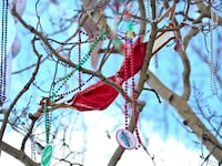 221214-bra-tree-skiing-hero_dxhgkz