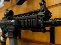rifle_sfmbip
