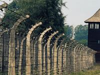 articles/2015/06/23/british-schoolboys-caught-pilfering-artifacts-from-auschwitz/150623-Hines-stolen-holocaust-artifacts-tease_kjjazf