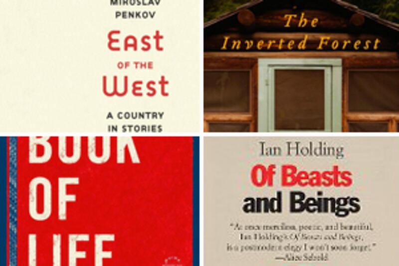 articles/2011/12/14/great-fiction-missed-by-the-new-york-times/overlooked-books-antrim-tease_pmbtzg