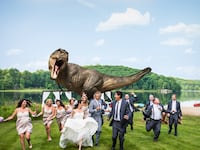 galleries/2014/08/10/the-year-of-the-insane-wedding-photo-jeff-goldblum-s-jurassic-park-disasterpiece-kimye-s-floral-smooch-and-more/140808-insane-wedding-tease_l9mmpl