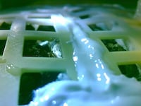 photo of china's cotton seed plants in a canister in space nasa moon lunar