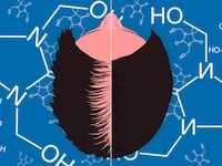 210713-Demopoulos-shampoo-hair-loss-tease_e1bhyz