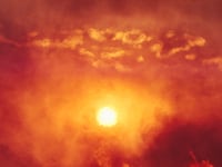 articles/2011/01/14/max-brooks-original-zombie-story-from-world-war-z-author/brookes-extinction_153042_lhcu9n