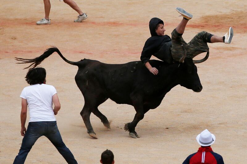 galleries/2016/07/14/running-of-the-bulls-photos/160714-running-bull9_rnsvob