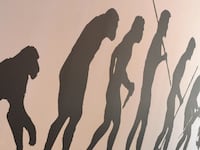 articles/2014/06/22/what-s-driving-america-s-evolution-divide/140620-giberson-evolution-tease_mqgcn1
