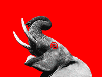 A black and white elephant with it’s mouth open and trunk up while it’s eye has been replaced with a spinning red spiral.