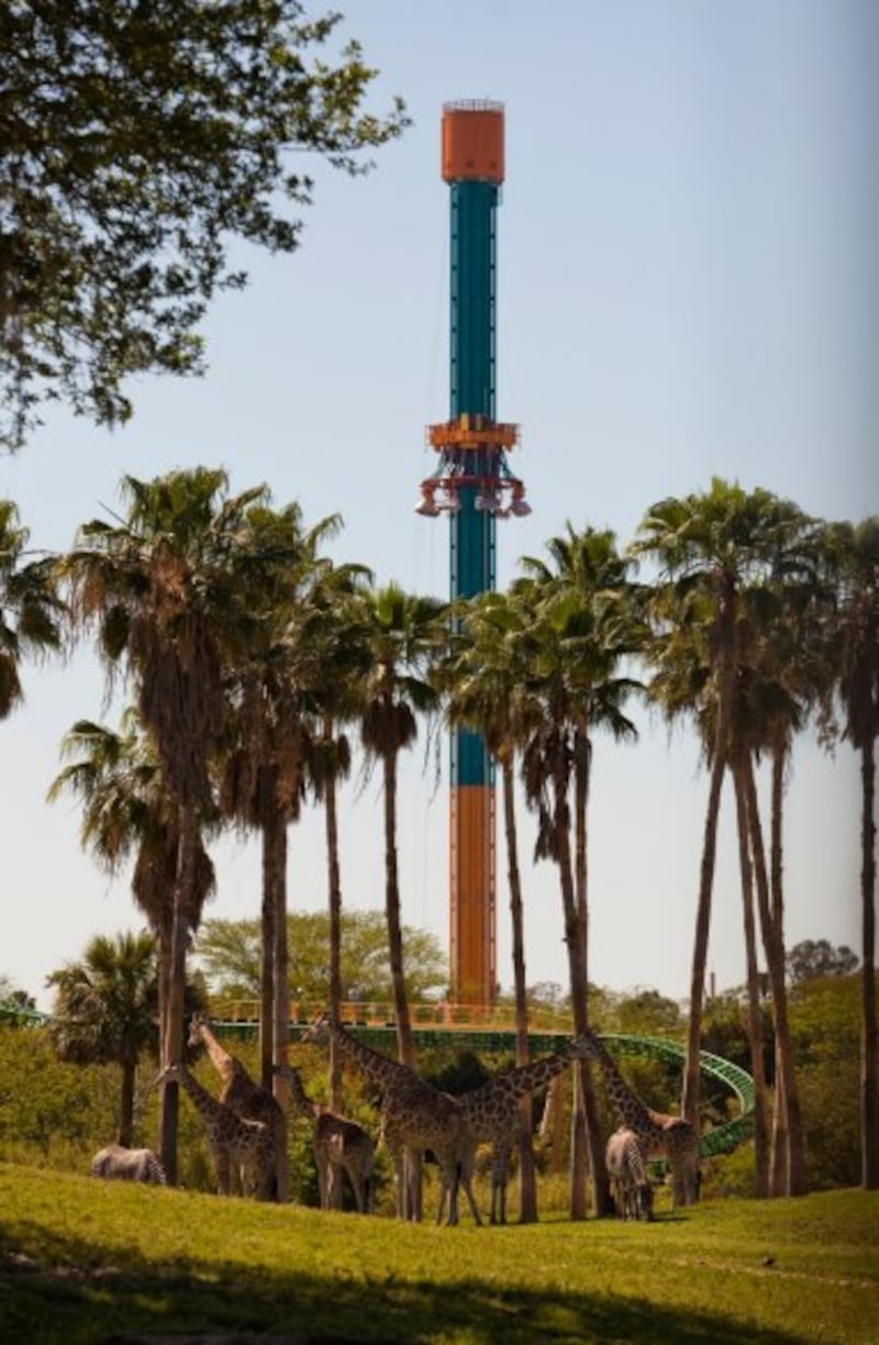 galleries/2014/07/04/the-summer-s-craziest-new-roller-coasters-photos/140626-rollercoasters-falcons-fury-8_bptf6b