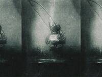 220708-underwater-photography-book-cover-hero_rxtamx