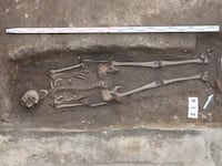 A skeleton belonging to a medieval knight was found under an ice cream parlor in Poland.