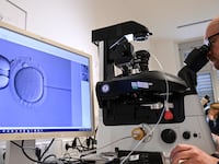In the cell laboratory at the Fertility Center Berlin, an electron microscope is used to fertilize an egg cell.