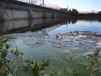 GettyImages-995707732_amlbrn