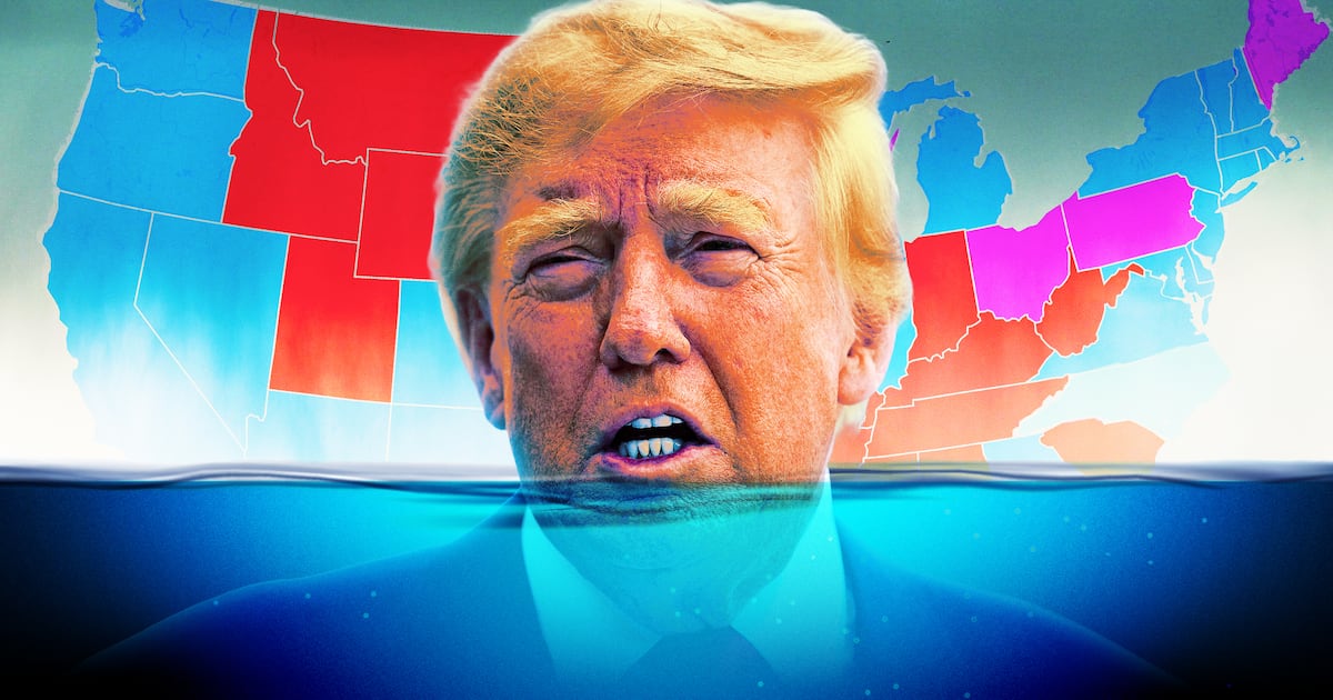 Trump Gets Brutal Reality Check on Hopes of Avoiding Wipeout