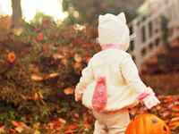 articles/2010/10/28/best-cities-for-halloween/florida-trick-or-treat-cities_136892_iyjk7r